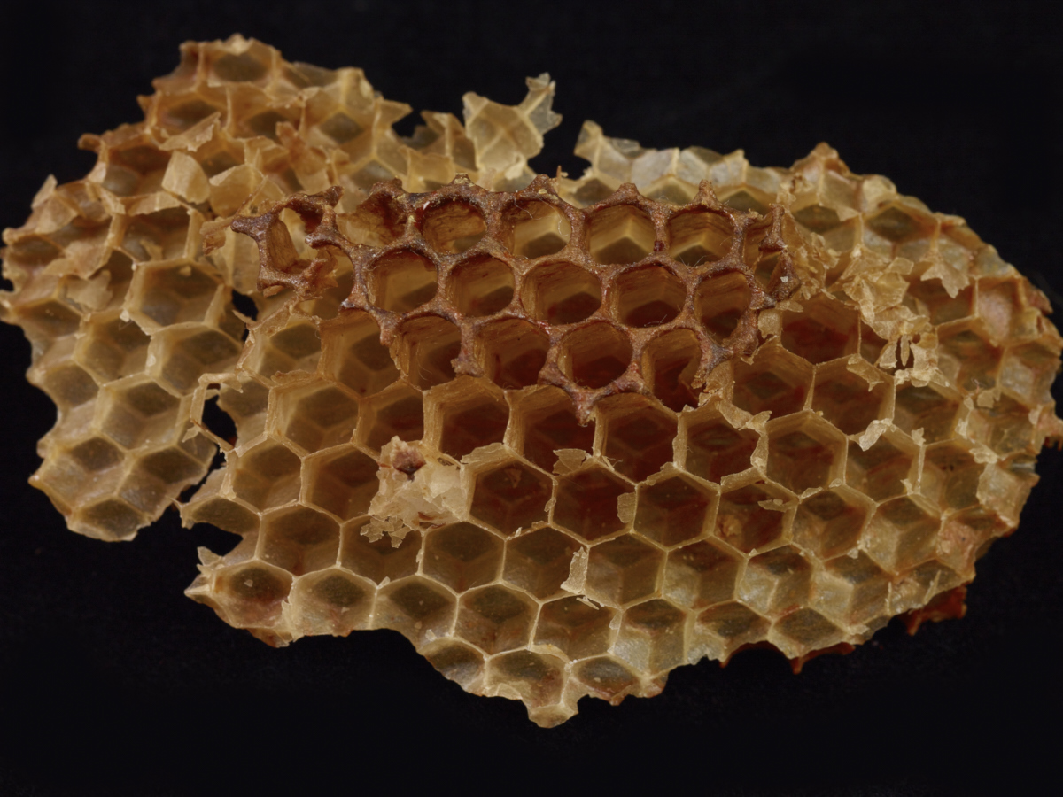 001_honeycomb